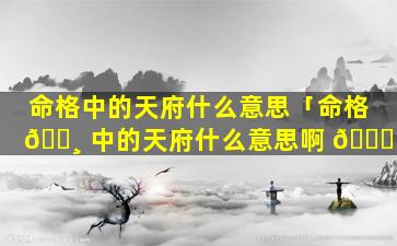 命格中的天府什么意思「命格 🕸 中的天府什么意思啊 🐛 」